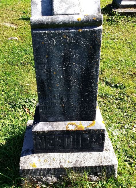 Abigail Johnson Needham 1820 1904 Find a Grave äreminne