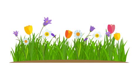 Grass and flowers border greeting card decoration element 2478448 Vector Art at Vecteezy