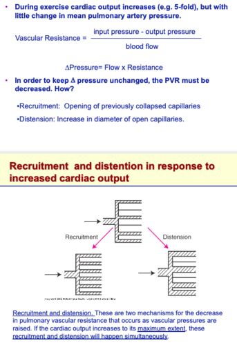 Pulmonary Circulation Flashcards Quizlet