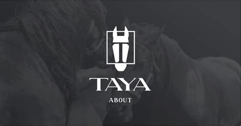 О магазине | Интернет-магазин TAYA