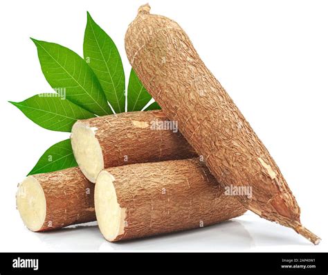 Single Object Of Cassava Root Isolated On White Background Stock Photo