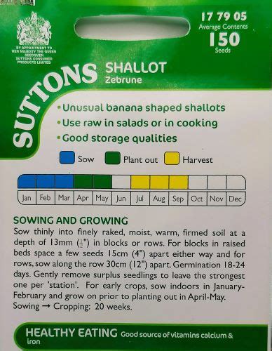 Shallot Banana Zebrune Seed Irish Plants Direct