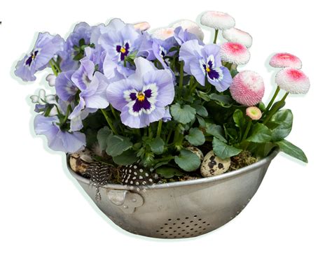 Flower Pot Png Transparent Images Pictures Photos