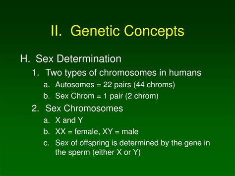 Ppt Genetics Powerpoint Presentation Free Download Id 5577459