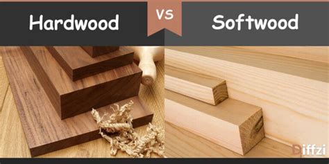 Hardwood vs Softwood - Diffzi