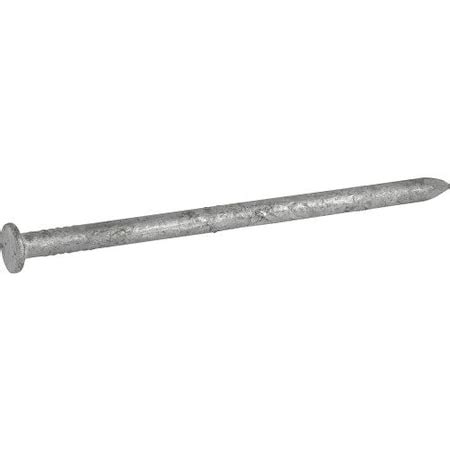 Hillman Common Nail In L D Steel Galvanized Finish Zoro