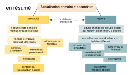 S Les Processus De La Socialisation C Panik A Bord