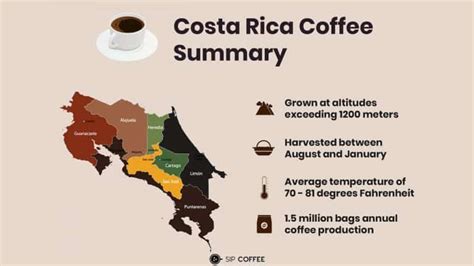 Best Costa Rican Coffee: Barista Tested [January 2025 Update]