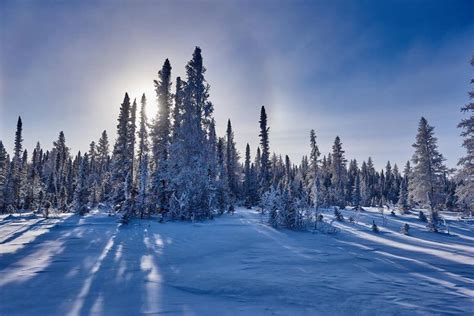 Northern Manitoba Winter scene