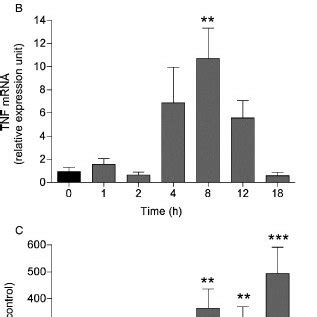 Carrageenan Induced Peripheral Inflammation Increases Tnf Levels In The