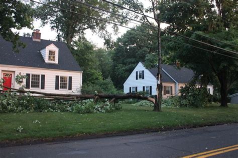 Photos: Wallingford Sustains Significant Damage During the Storm ...