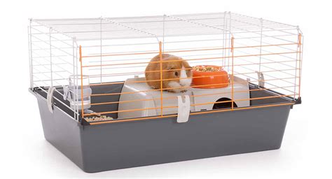 Best Indoor Guinea Pig Cages, Hutches, and Runs Reviewed