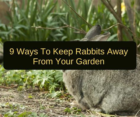 How To Keep Rabbits Out Of The Garden 9 Easy Ways Keep Rabbits Out Of Garden Landscape