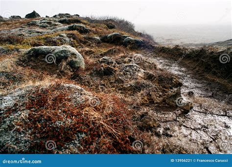 Iceland volcanic landscape stock image. Image of europe - 13956221