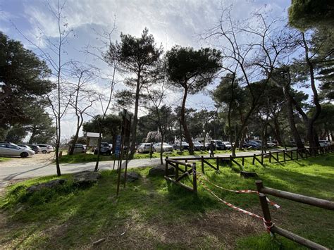 Cierre De La Pista Forestal Y Refuerzo De Vigilancia Con Agentes