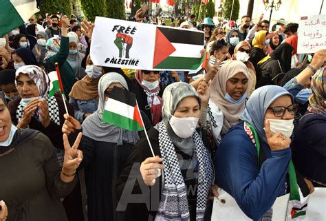 كاتب مغربي الشعب المغربي فقد استقلاله وسيادته جراء التطبيع مع الكيان