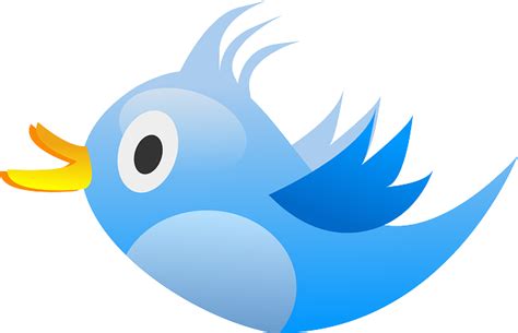 Free Twitter Bird Vector Art Download 4647 Twitter Bird Icons