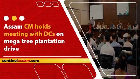 Assam CM Holds Meeting With DCs On Mega Tree Plantation Drive YouTube