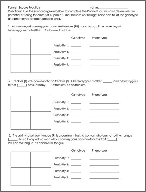 Genetics Punnett Square Practice Worksheet