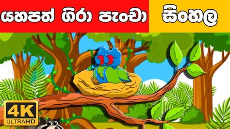 යහපත් ගිරා පැංචා Sinhala Cartoon Surangana Katha 4k Uhd Sinhala