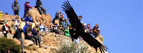 Bus Tour Chivay To Puno South Adventure Peru Tours