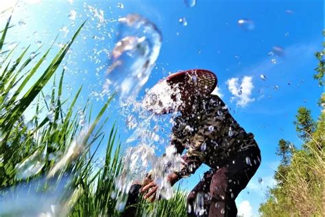 北湖区多措并举抗旱保丰收！北湖新闻网