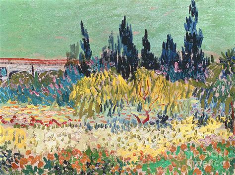 The Garden at Arles Painting by Vincent Van Gogh