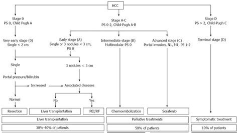 The Barcelona Clinic Liver Cancer Staging Classification A Comprehensive Guide For