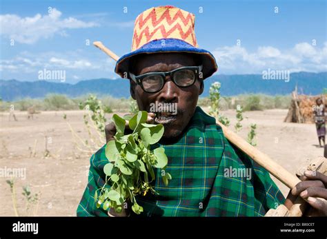 Chewing Khat Stock Photos & Chewing Khat Stock Images - Alamy