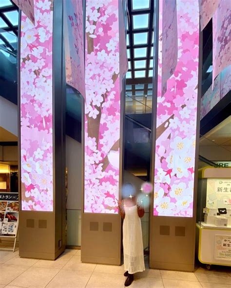 Miyaミヤマアユミさんのインスタグラム写真 Miyaミヤマアユミinstagram「東京駅の春フェア始まりました🌸 桜と女性のイラストを色々な場所に飾って頂いています