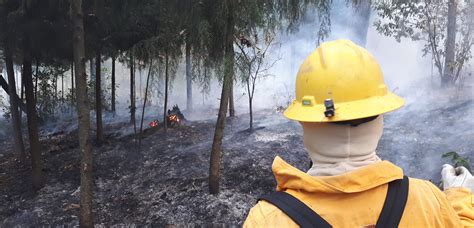 En Lo Que Va Del Año Se Han Registrado 129 Incendios Forestales En