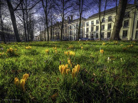 Lange Voorhout 2016 Luc V De Zeeuw The Hague The Net Flickr