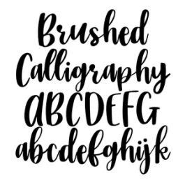 BFC Brushed Calligraphy Bold Bouncy Brush Script Calligraphy Font