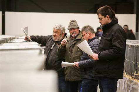 Fotogalerie Výstava Náš chovatel v Lysé nad Labem Nymburský deník