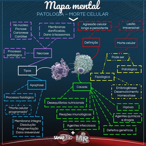 Mapas Mentais Sobre MORTE CELULAR Study Maps