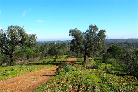 Santa Margarida Da Serra Gr Ndola Greentrekker Pt