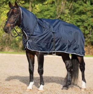 Horse Rain Sheets - Horse Rain Sheets For Sale