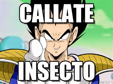 Pictures Vegeta Insecto