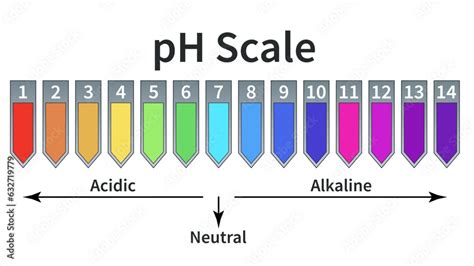 Acid-base balance level. PH scale. Paper chemical test for acid-base ...