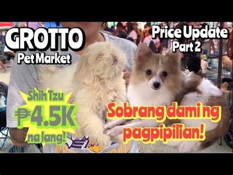 Grotto Pet Market Part 2 January 08 2023 San Jose Del Monte