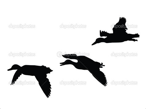 Mallard Duck Flying Clipart Clipart Suggest