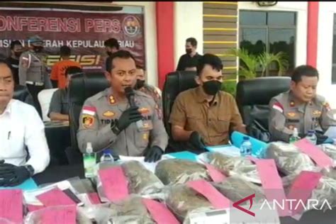 Polres Bintan Memusnahkan Belasan Kilogram Ganja Asal Aceh Antara News