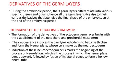 Solution Derivatives Of The Germ Layers Ppt Studypool