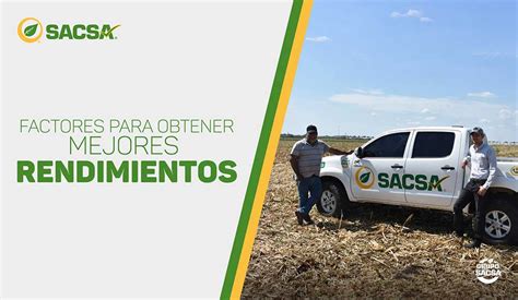 Factores Para Obtener Mejores Rendimientos Grupo Sacsa