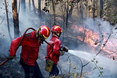 Fotos Incendios Forestales Arrasan Miles De Hectáreas En Portugal