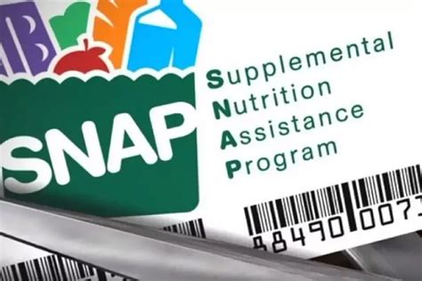 Snap Texas Payment Schedule Who Is Getting Their Last September Food