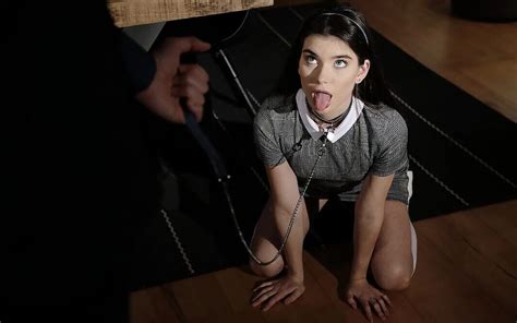 Stefany Kyler Porn Videos 2026 Porn Star Sex Scenes XHamster