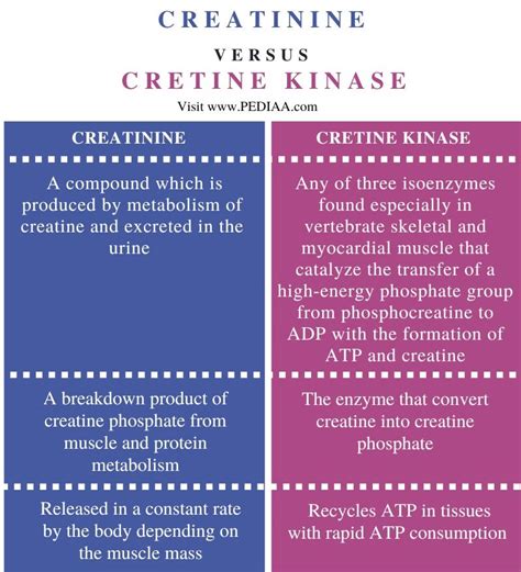 What Is The Difference Between Creatinine And Creatine Kinase Pediaa