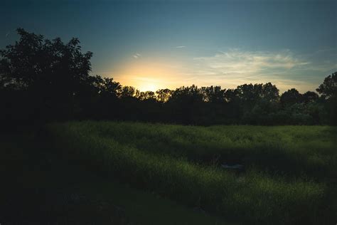 Green Grass Field during Sunset · Free Stock Photo