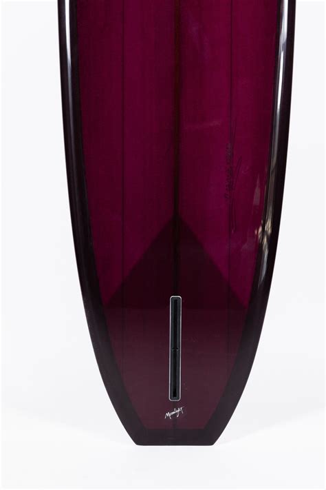 Campaign Updates Focus On Guy Christenson Activities